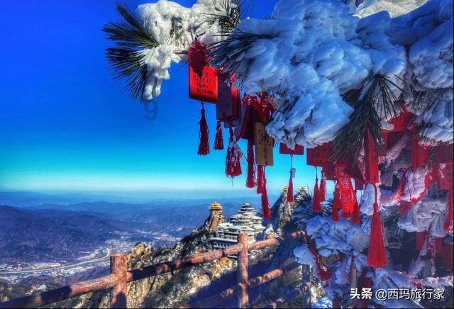 尽享知识星球平台,畅聊大家喜欢JJ的哪首歌啊?的智慧天地